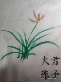 20220830110545_40452 首页| 抖圈为du而生官网入口